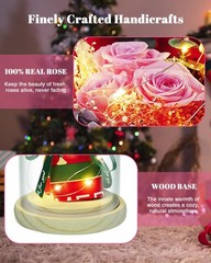 HVY Preserved Flowers in Glass for Her,Pink Real Rose Bouquet with Pink