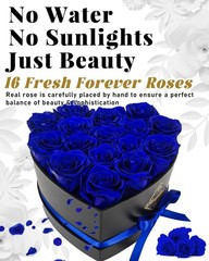 16 Flowers Forever Preserved Roses in Box, Mystic Blue