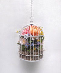 Wedding Decor Birdcages w/ Silk Flowers – Set Of 5