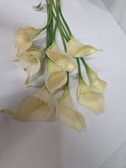 Vintage Real Touch White Calla Lily Bunch Of 8 Ashland Classic Tradition 15 Inch