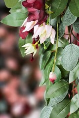 ponatia Burgundy Wedding Artificial Arch Flowers Kit (Pack of 3) with 26Ft Sh…