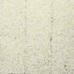 4 Cream Hydrangea Flowers Mat Wall Backdrop Panels Wedding Party Decorations