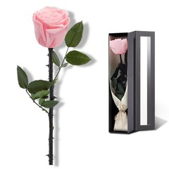 SofLiv Pink Flowers for Delivery Prime, Preserved SingleRose, 04-pink