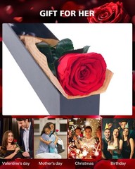 Preserved Flowers Gifts for Women: Valentines Day Mothers Day Birthday Chri