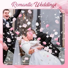180 PCS Real Pink White Rose Flower Petals Confetti Wedding to Throw 1.75oz