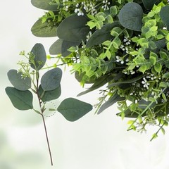 Bulk 100-Piece Mixed Eucalyptus Leaves Stems – DIY Floral DIY