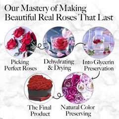 GLAMOUR BOUTIQUE 27 Flower Forever Heart Shape Box, 27 Roses, Red 27 Roses