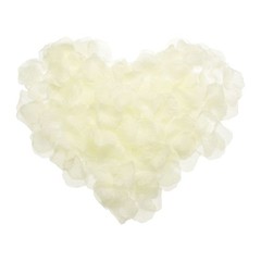 500pcs Artificial Rose Petals Fake Silk Flower Petals for Wedding White