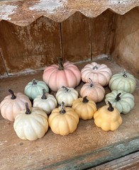 13 Pcs Small Fall Artificial Pumpkins Pastel Pumpkins Decorative NEW