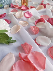 Pink Rose Petals,Blush Pink Flower Silk Petals,Scatter Petals for Wedding Aisle