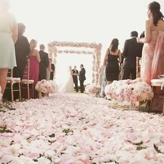 CODE FLORIST 1100 PCS White Silk Rose Petals for Valentine’s Day,Romantic Night,