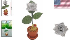 Elegant Silver Rose for Anniversary Celebration