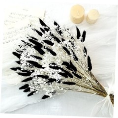 Bunny Tails Dried Flowers Bouquet Fluffy Nature Pampas Grass with Baby Black