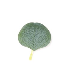200 Frosted Green Artificial Greenery Eucalyptus leaves Party Events Decorations