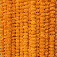 Krati Exports 5 PC – 5 feet Marigold Garland 5, Golden Yellow (Light Orange)