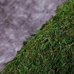 18×16-Inch Green Natural Preserved Moss Sheet Party DIY Crafts Supplies Event