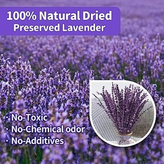 Dried Purple Lavender Flowers Bundle-Dried Preserved Lavender Purple-1.76oz