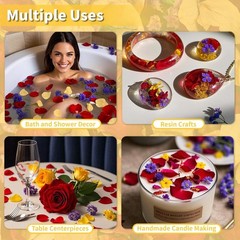 20 Cups Real Dried Rose Petals Biodegradable Wedding Flower Confetti 2 QT Mixed