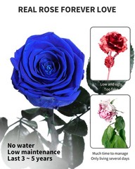 Blue Flowers for Delivery Prime, Preserved Roses SingleRose, 05-blue