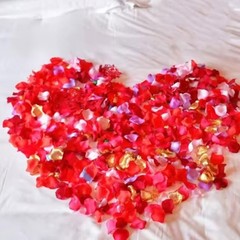 1000pcs Artificial Rose Petals Silk Flower Petal Wedding Aisle Birthday Setting