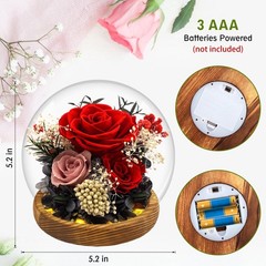 MOKOQI Red Rose Mothers Day Gifts for Mom Forever Flowers D3-