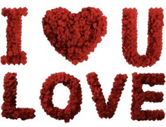 CODE FLORIST 2200 PCS Dark-Red Silk Rose Petals Wedding Flower Decoration