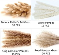 Dried Pampas Grass Decor, 100 Stems Pampas Grass Contains Bunny Tails Dried Flow