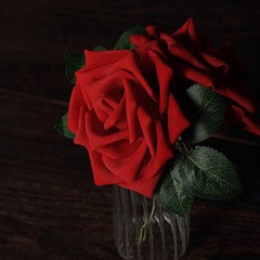 24 Red 5″ FOAM ROSE Flowers Stems Party Wedding Events Decorations Supplies