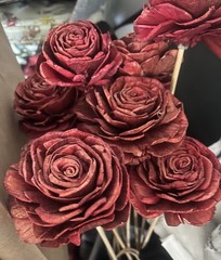 Roses Long Stem Red Roses 10 Rustic Sola Wood Flowers 21” Long