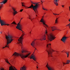 2500PCS Dark Red Artificial Rose Petals for Romantic Night, Wedding, Party, Anni