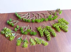 Artificial Succulents Grass Set of 27 Miniature Plants
