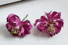 Artificial Plastic Grass 4 Sleep lotus Succulents Mini Plants Garden Landscape