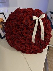 75 Count Red Rose Bouquet – Tightly Wrapped, Real Roses, White Ribbon