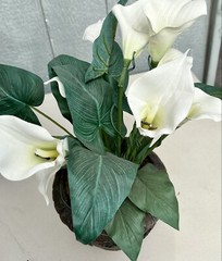 Potted Faux Lilies Twinkle Lites Any Occ Summer Garden Wedding LOCAL PICKUP