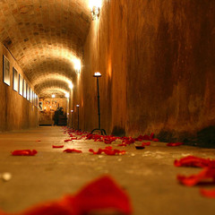 Artificial Petals 1000 PCS Dark-Red Silk Rose Petals for Romantic Night,Wedding,