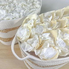 500+ PCS Real White Rose Petals, 4.57Oz (130G) Preserved White Flower Petal for