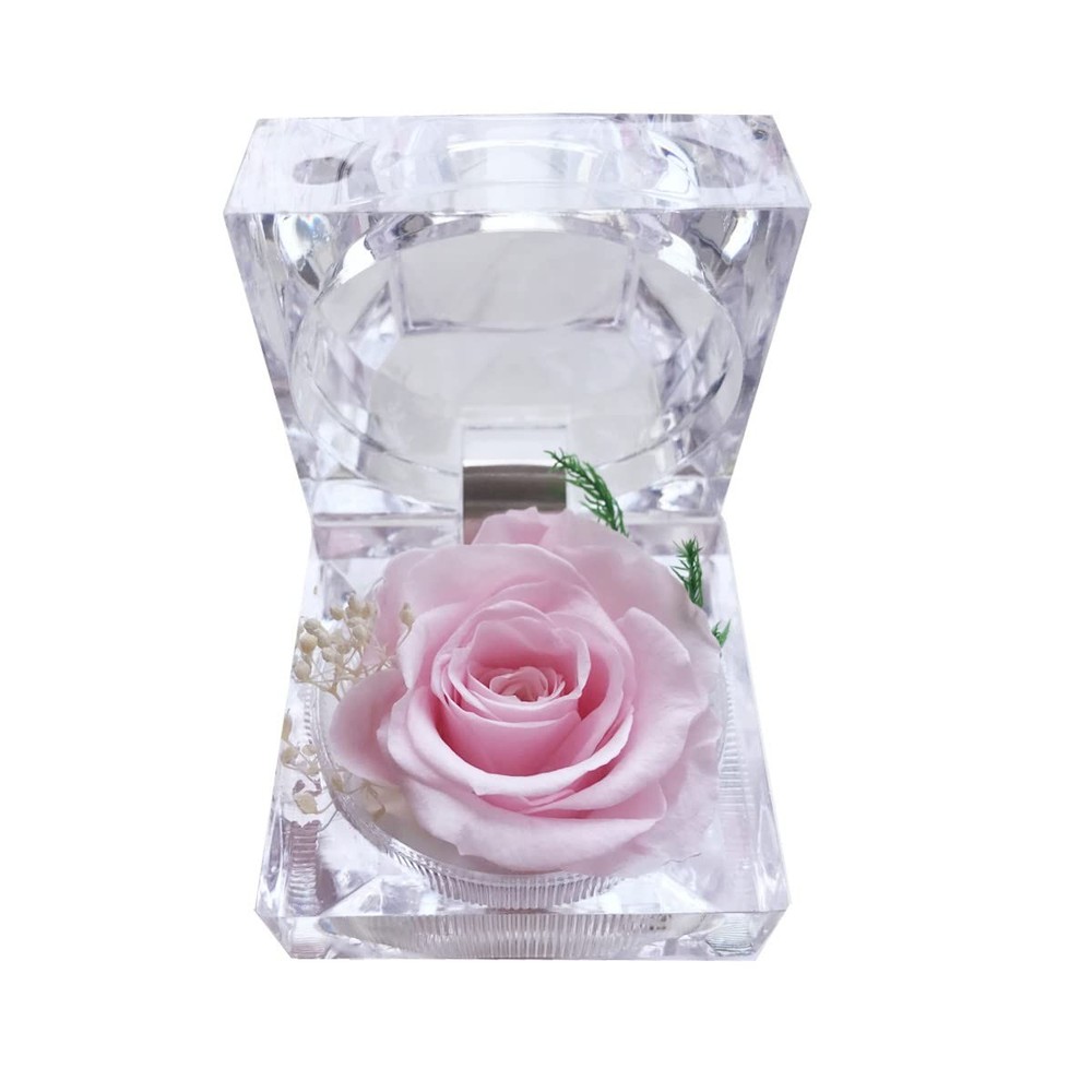 DoraMagic Preserved Rose Real Forever in Mini Clear Ring Box, Pink
