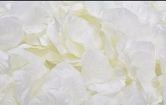 BULK 10000 Silk Petals Flower