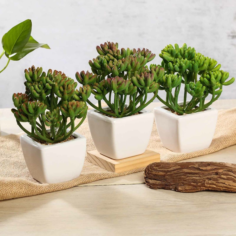 Green 3 Assorted 7″ Faux Jelly Bean Succulent Plants Off White Pots Sale