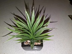 Vintage Decorative Mini Artificial Desert Plant Buried in Pebbles in a 2″x3″ Pot