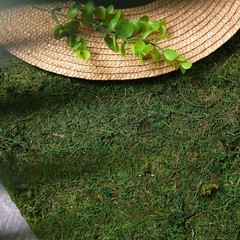 18×16-Inch Green Natural Preserved Moss Sheet Party DIY Crafts Supplies Event