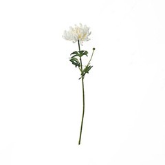 IVORY 3 Stems 27″ Silk Artificial Chrysanthemum FLOWERS Party Decorations