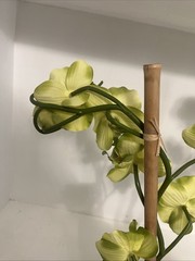 Huge Orchid Flower Display 17in Green Artificial Silk Flowers in Black Pot Faux
