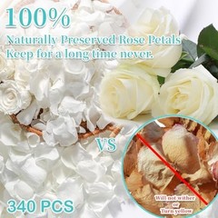 Real Ivory Rose Petals – Preserved Dried Flower Confetti for Weddings & Parties,