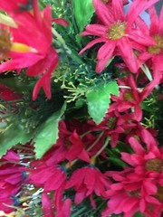 Artificial Plastic Fabric Red Colour Flowers With Green Leaves