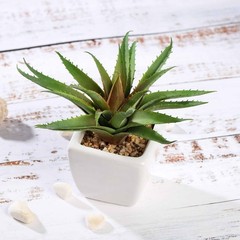 Set of 3 5″ tall Assorted Faux Succulent Aloe Plants with Off White Ceramic Pots