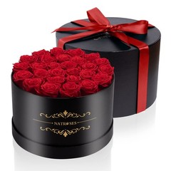 NATROSES Gifts for Her 27 Piece Forever Preserved Roses in a 27 Roses, Red