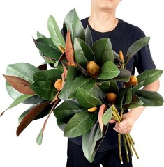 Set of 4 Magnolia Branches 32 Inch Long Artificial Magnolia with Leaves Greenery