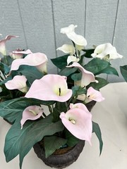 Potted Faux Lilies Twinkle Lites Any Occ Summer Garden Wedding LOCAL PICKUP