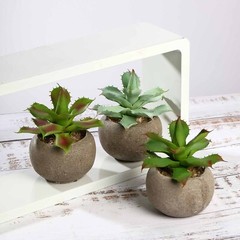 3 Round Pots 5″ Assorted Faux Aloe Succulent Plants Wedding Favors Centerpieces